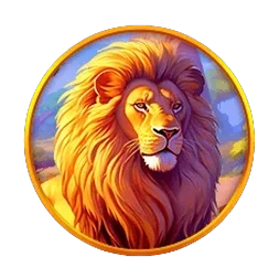 Lion
Safari